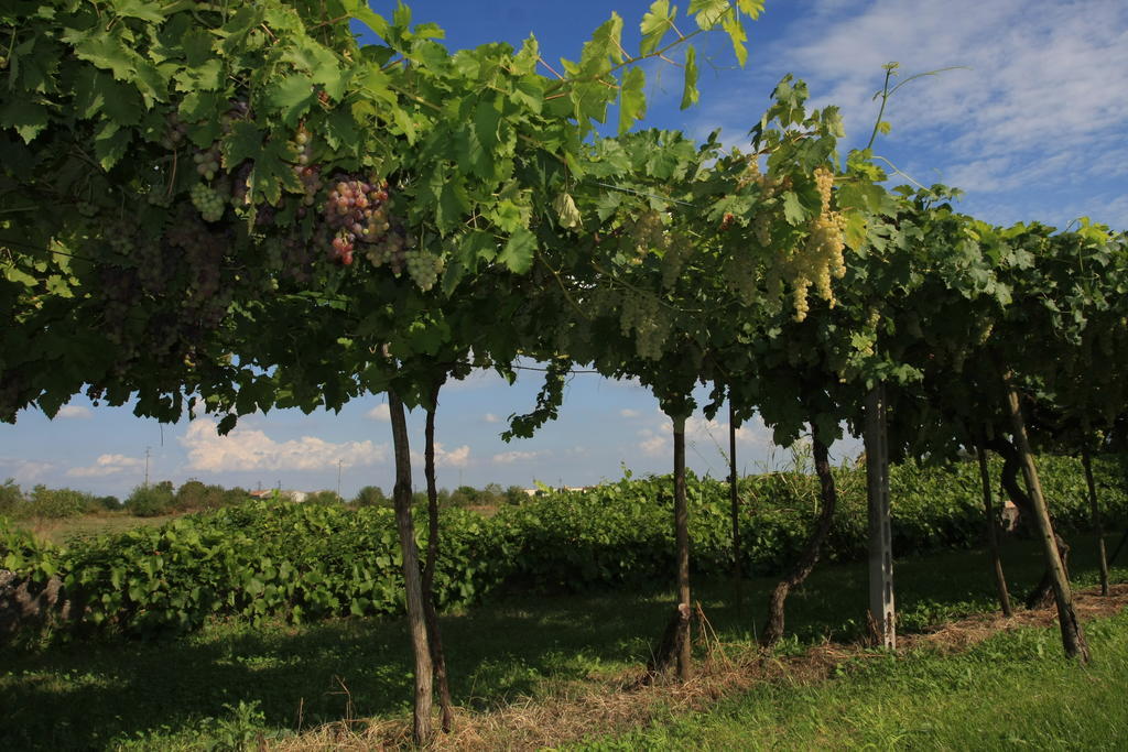 Agriturismo Ca' La Pergola Lugagnano Exterior foto